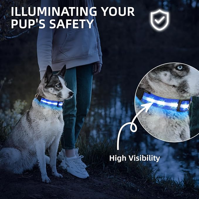 LED Dog Collar for Small Dogs & Toy Breeds – USB-C Rechargeable Light Up Dog Collar, Fully Waterproof Adjustable Glow Collar for Night Walking & Safety(Blue,S)