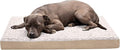 Furhaven Memory Foam Dog Bed for Large/Medium Dogs w/ Removable Washable Cover, For Dogs Up to 55 lbs - Ultra Plush Faux Fur & Suede Mattress - Cream, Large