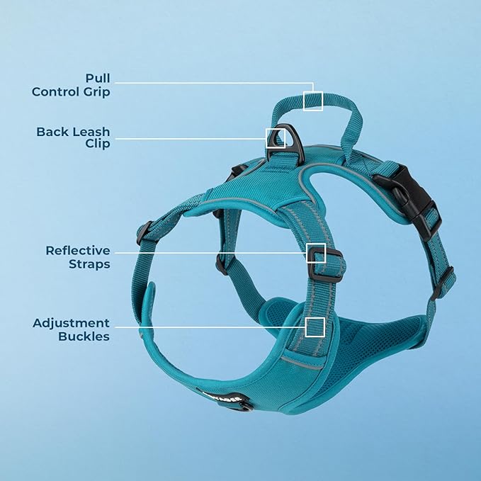 Voyager Dog Harness Dual Leash Attachment No-Pull Control Adjustable Soft but Strong Pet Harness for Medium and Large Dogs with 3M Reflective Technology, Turquoise Nylon, L (Chest: 25-30")