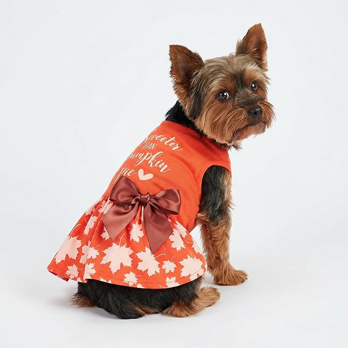 Fitwarm Thanksgiving Sweeter Than Pumpkin Pie Dog Dress 100% Cotton Puppy Costumes Pet Clothes Holiday Girl One-Piece Doggy Outfits Tank Top Vest Dresses Cat Apparel Orange Medium
