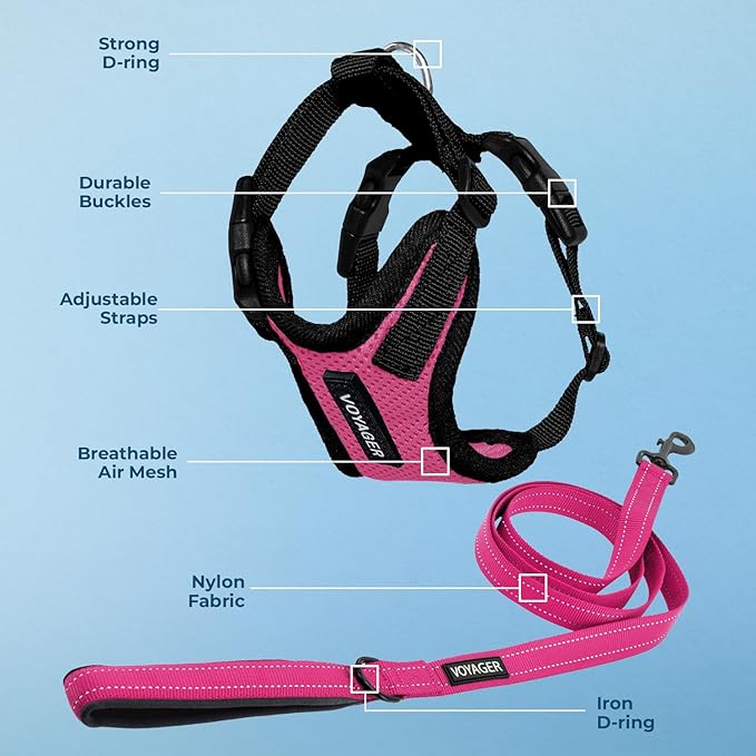 Best Pet Supplies Voyager Step-in Lock Pet Harness w Reflective Pet Leash Combo Set with Neoprene Handle 5ft - Supports Small, Medium and Large Breed Puppies/Cats - Fuchsia/Black Trim Set, M