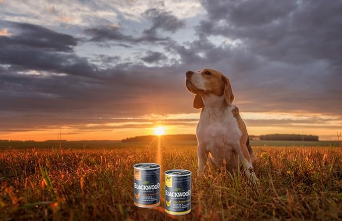 Blackwood Wet Dog Food, Chicken & Chicken Liver with Pumpkin, 13 Ounce Can (Pack of 12), Slow Cooked, Grain Free