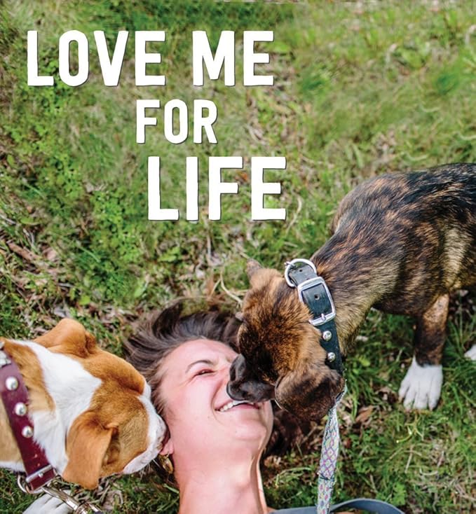 I and love and you Good Golly Gullet Stix - Beef - Rawhide Alternative, Single Ingredient, Free Range Grass Fed Beef, 6in, 48ct