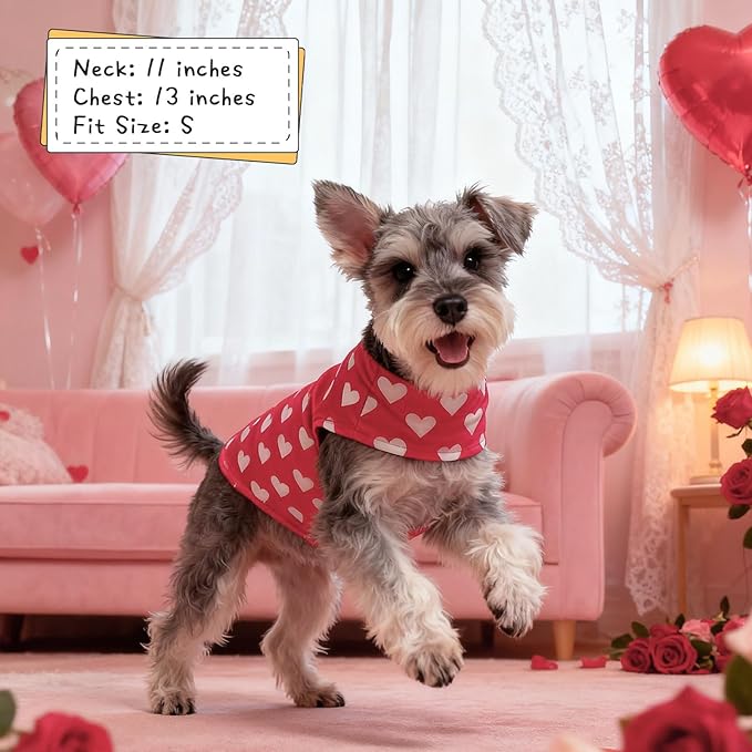 EXPAWLORER Cat Sweater Outfit - Love Hearts Sweater for Cats Only Warm Kitten Clothes, Pet Coat Pullover Design, Fleece Sweatshirt Clothing Also for Puppy Small Dogs, L