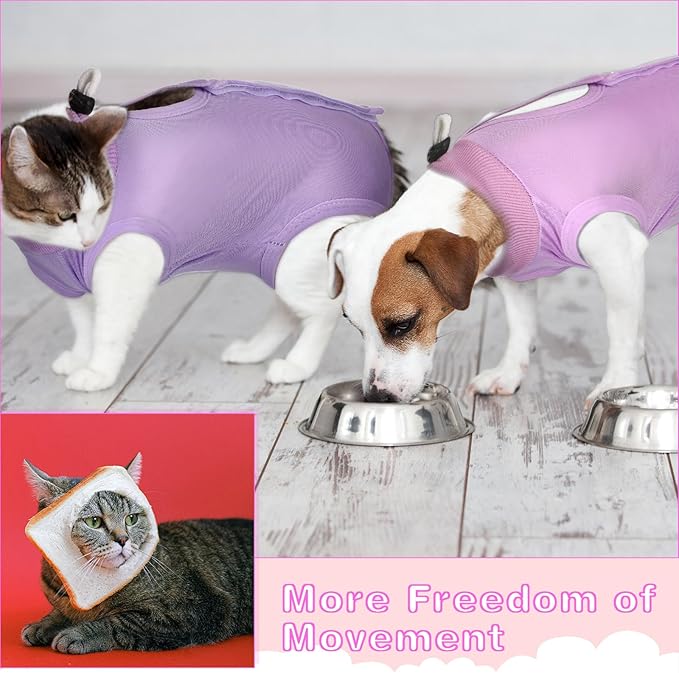 Nuanchu 3 Pieces Cat Recovery Suit Kitten Recovery Suit E-Collar Alternative for Cats and Dogs Abdominal Skin Anti Licking Pajama Clothes Sets (Medium,Solid Style,Purple Pink Blue)