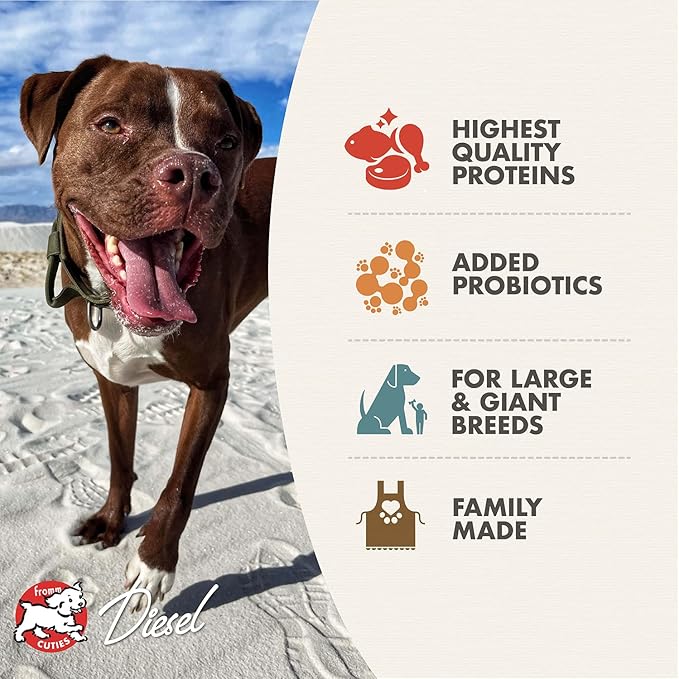 Fromm Heartland Gold Large Breed Adult Dog Food - Dry Dog Food for Large & Giant Breeds - Beef Recipe - 26 lb
