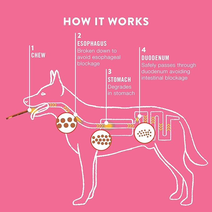 TRURANCH Medium Pork Skin Bones, Bacon Flavor - Collagen Bones for Dogs - Made with Real Pork Skin - Rawhide Alternative - Limited Ingredient - Easy to Digest Treat, 1 Bag, 3 Count