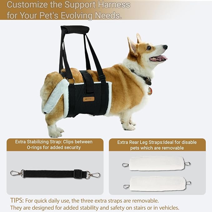 Dog Lift Harness Sling for Medium Dogs - Adjustable No-Slip Rear Leg Support with Padding & Back Fixed Buckle, Hip Dysplasia/ACL/TPLO Surgery Recovery Aid, Dog Sling for Injured,Disabled/Senior Dogs