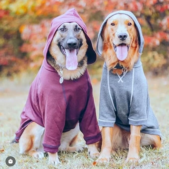 Blueberry Pet Essentials Dog Hoodie – 18 inch, Cotton‑Blend Sweatshirt with Hood, Burgundy Red, Machine‑Washable Small‑Dog Jersey