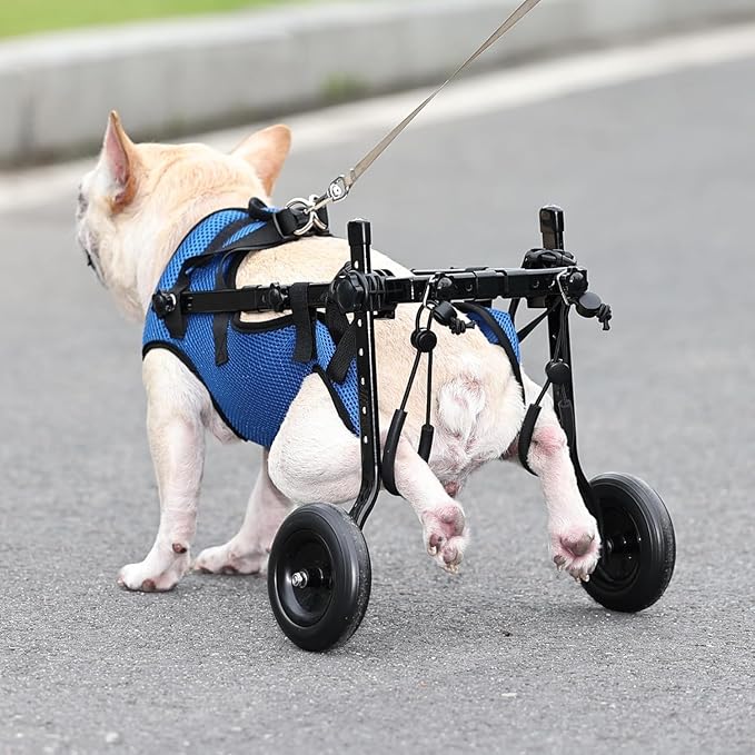 Small Dog Wheelchair for Back Legs - Adjustable Mobility Aid for Disabled Pets, Leg Brace and Hip Support
