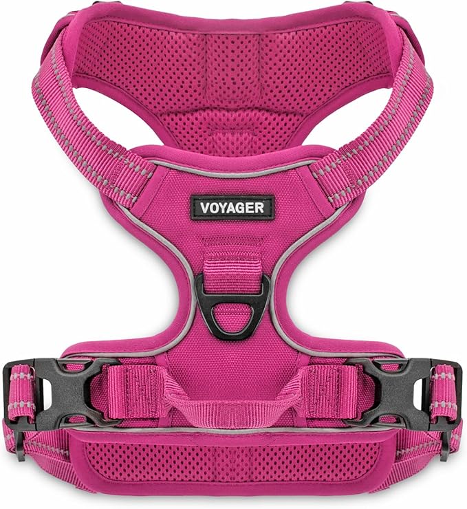 Voyager Dog Harness Dual Leash Attachment No-Pull Control Adjustable Soft but Strong Pet Harness for Medium and Large Dogs with 3M Reflective Technology, Fuchsia Nylon, XS (Chest: 13-16")