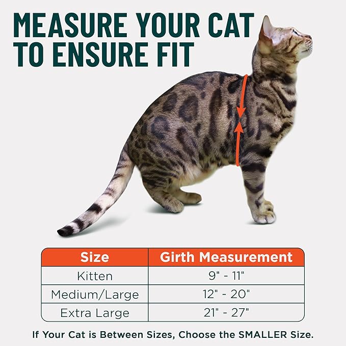 Houdini™ Escape Proof Cat Harness and Leash Set by OutdoorBengal – Red, Medium Cat Harness for Walking