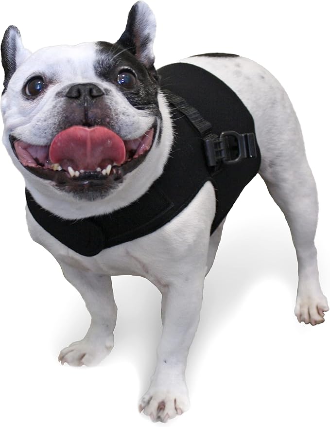Front Dog Vest Harness | No Pull Harness | Designed for Small Dogs with Broad Chests | Compatible with Dog Wheelchair