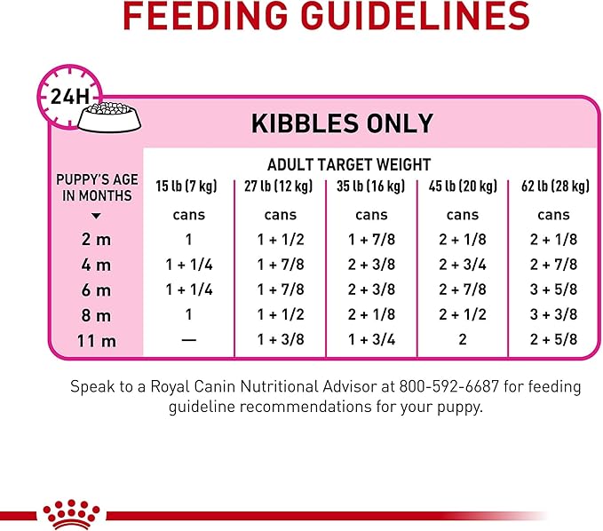 Royal Canin Canine Health Nutrition Puppy Loaf in Sauce Dog Food, 5.2 oz (Pack of 12)