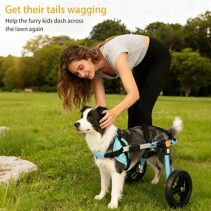 TailWaggers Dog Wheelchair for Back Legs | Adjustable Mobility Aid | All-Terrain Wheels