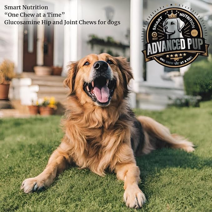 AdvancedPUP Dog Hip and Joint Supplement Chews – Glucosamine, Chondroitin, MSM & Turmeric – Mobility & Joint Support for Dogs – Bacon Flavor Soft Chews – 90 Count – Made in USA