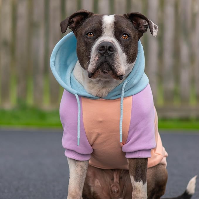 Spark Paws Dog Hoodie – Premium Dog Sweater for Small, Medium, and Large Dogs | Warm Outfits for French Bulldogs, Pitbull, Puppy, Winter Jacket Alternative - Cotton Candy - 3XL
