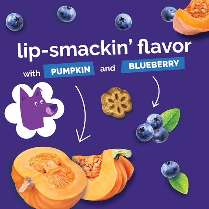 Fruitables Skinny Mini Dog Treats (3 Cal) – Healthy Soft Training Treats – Pumpkin & Blueberry, 5 oz (4 Pack)