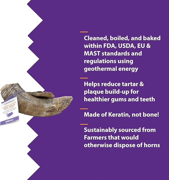 Icelandic+ Lamb Horn with Marrow - Small - 4-5.5" Dog Chew, Long-Lasting Treat, Puppy-Small Dogs, Keratin, All-Natural, Pet Snack, Edible & Digestible