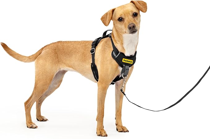 PetSafe Easy Walk Comfort No-Pull Dog Harness Full-Body Padding - Better Walks on the First Use - 5 Points of Adjustment X-Small, Black