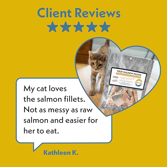Fresh Is Best Salmon Fillets Freeze Dried Dog Treats – Raw Freeze Dried Fish for Cats & Canines in Resealable Zipper Bag – High-Protein Salmon Dog Treats – Made in The USA