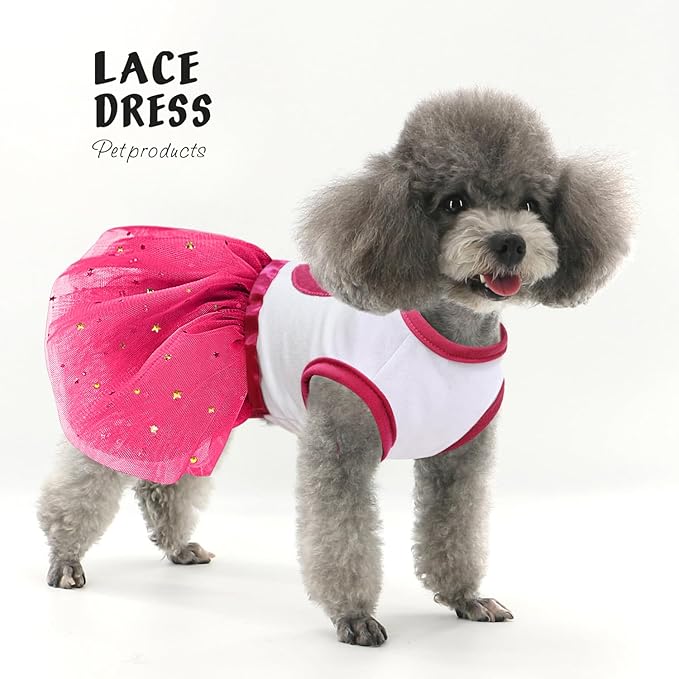 Idepet Spring Summer Pet Dog Cat Puppy Tutu Princess Dress Heart Printed Lace Dog Skirt Pet Apparel Dog Dress (Rose Red, XL)
