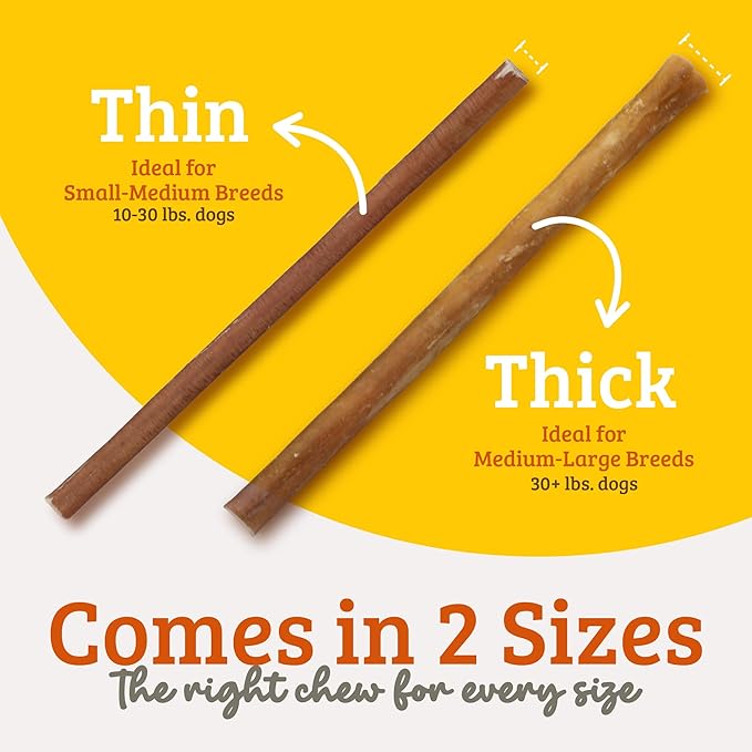 Advance Pet Products Premium 6 Inch Bully Sticks for Dogs (Pack of 10) – 100% Beef Dog Chews, Odor-Free, Long Lasting Treats for Aggressive Chewers, High Protein, Gluten & Rawhide Free, Easy to Digest