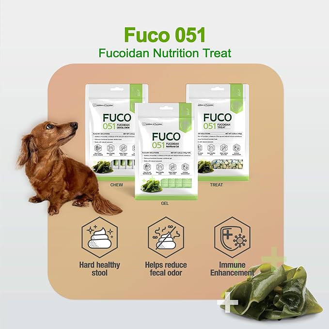 Fucoidan Functional Supplement Chew for Dogs - Immune System & Digestive Health Booster with Seaweed Superfoods Treats