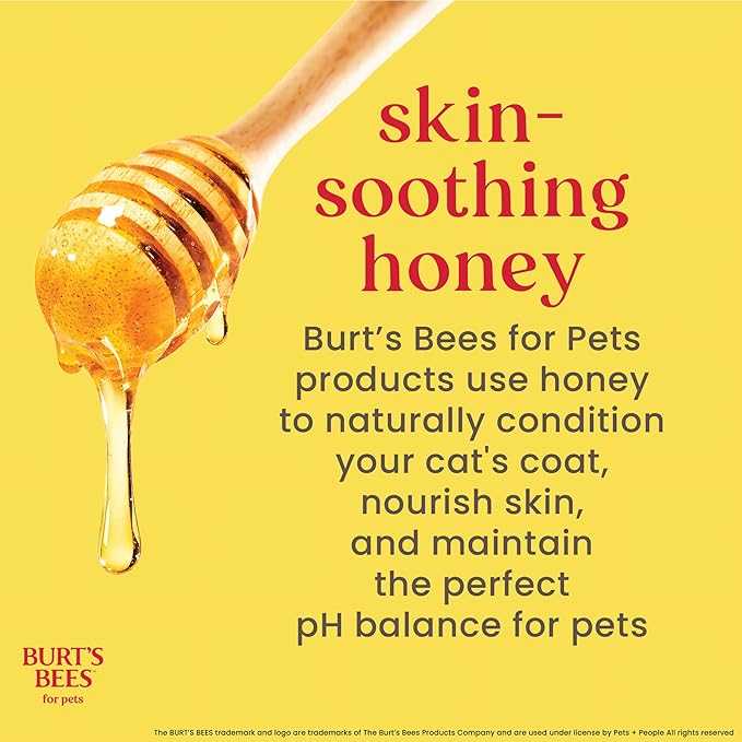 BURT'S BEES FOR PETS Hypoallergenic Cat Shampoo with Shea Butter and Honey, Gentle Kitten Shampoo for Indoor Cats with Dry or Sensitive Skin, Cat Bathing Supplies, 10 Fl Oz - 2 Pack