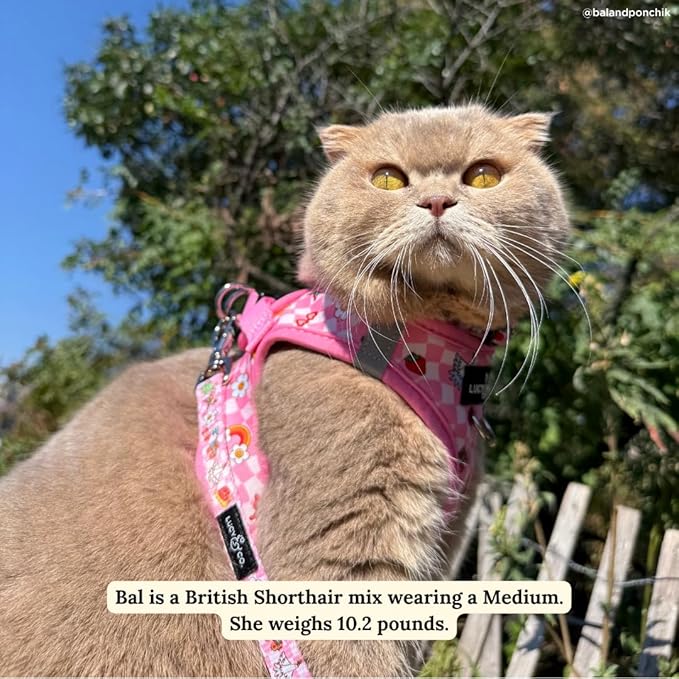 Lucy & Co. Cutie Patootie Step-in Cat Harness & Leash Bundle – Reflective, Breathable & Adjustable Harness for Cats, Kittens & Small Dogs, Lightweight & Secure and Dual Leash Clips – Large