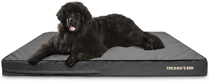The Dog’s Bed Orthopedic Memory Foam Dog Bed for XXXL Dogs, Waterproof Washable Cover, Anti-Slip Base, Calming Surface – CertiPUR-Certified Foam, Grey with Black Trim, 6 Inch Thick