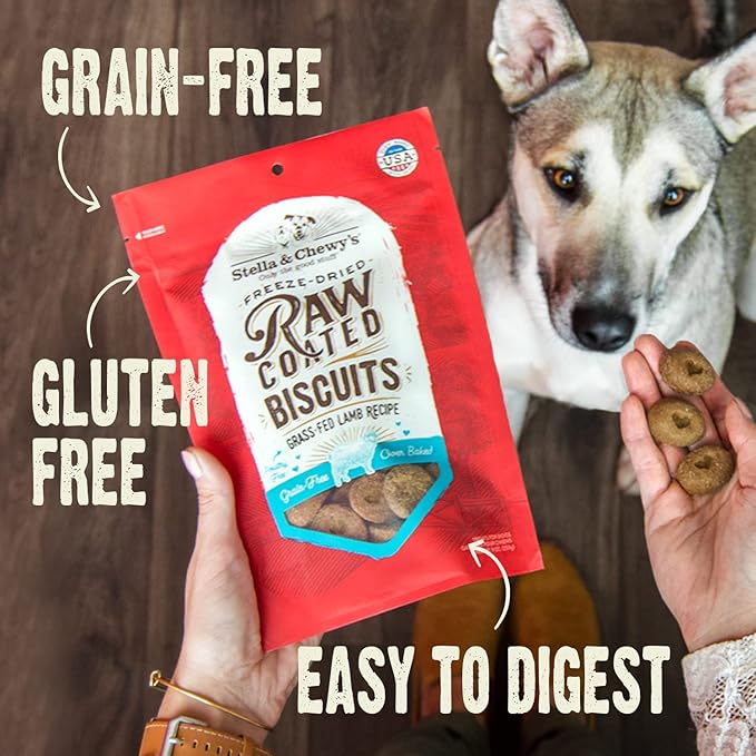 Stella & Chewy's Freeze-Dried Raw Coated Dog Biscuits – Cage-Free Duck Recipe – Protein Rich, Grain Free Dog & Puppy Treat – Great Snack for Training & Rewarding – 9 oz Bag