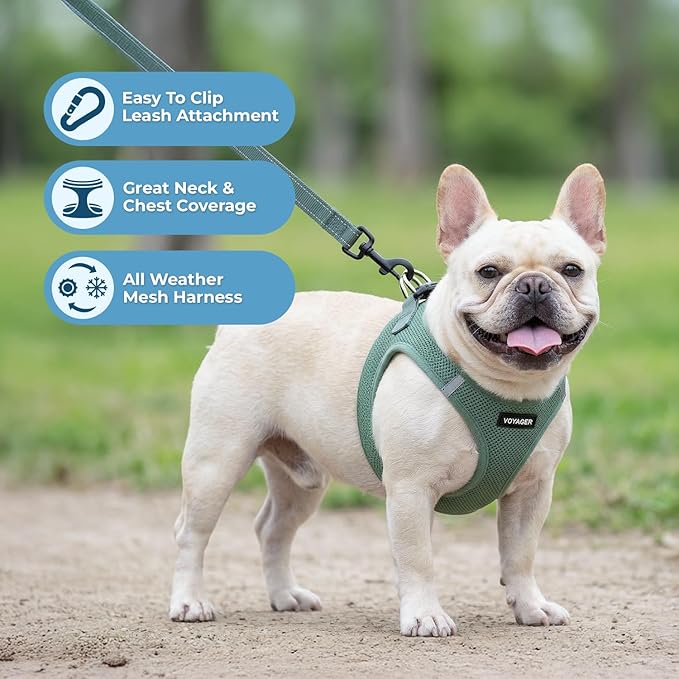 Best Pet Supplies Voyager Step-in Air All Weather Mesh Harness and Reflective Dog 5ft Leash Combo with Neoprene Handle, for Small, Medium and Large Breed Puppies - Set (Moss Green), Large