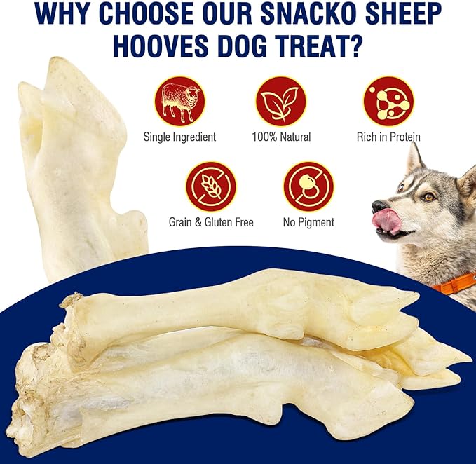 Sheep Hooves Dog Treats Dehydrated Lamb Trotters Single Ingredient Chew Sticks Bone for Puppy Organic Training Low Fat 30g