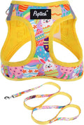 PUPTECK Dog Harness and Leash Set for Small Medium Dogs No Pull Step-in Soft Mesh Puppy Cat Vest Harnesses Reflective at Night, Easter Light Yellow, M