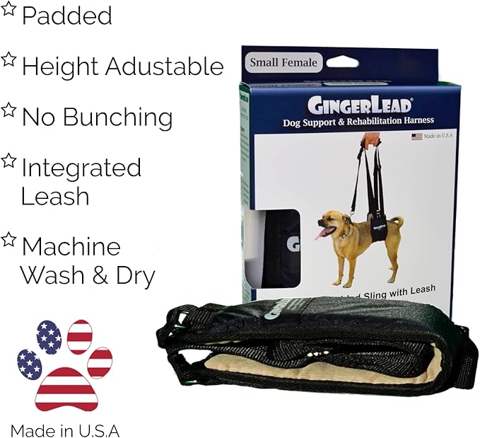 GINGERLEAD Dog Sling Support Harness, SM Female fits Small to Medium Size Pets or Larger Barrel Chested Dogs Like Boxers or Bullies. Padded Rear Lifting Aid with Leash. Made in U.S.A.
