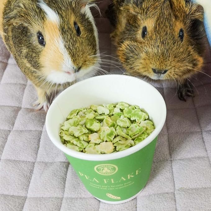 GuineaDad Pea Flakes for Guinea Pigs – Premium Guinea Pig Food & Treats – Natural Pea Flakes for Small Pets – High in Vitamins & Minerals - Large