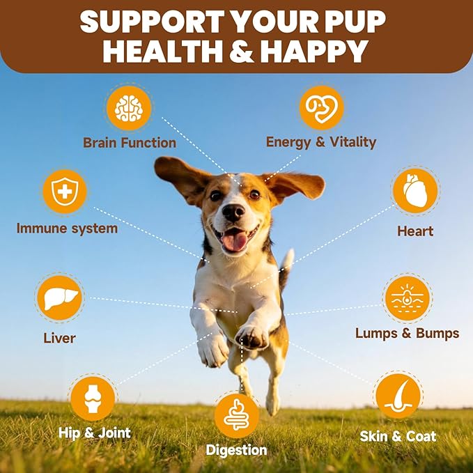Turkey Tail Mushroom for Dogs - 26 in 1 Mushroom Paste for Dogs Lumps and Bumps, Immune System, Digestion, Skin, Energy, Joint- 13 Mushrooms Turkey Tail, Chaga, Reishi, Lion's Mane - Chicken Flavor