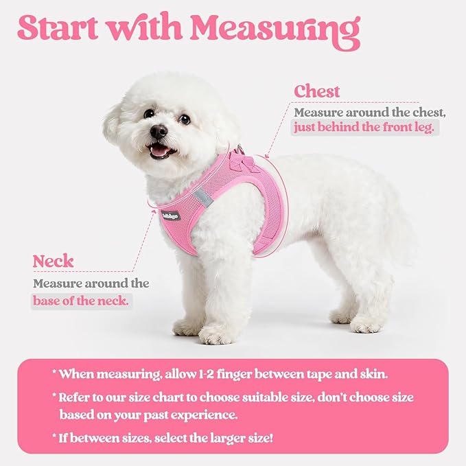 rabbitgoo Dog Harness Small Sized and Leash Set, Step in Soft Light Puppy Vest, Breathable Mesh Pet Harness, Reflective for Safe Easy Walking, Light Pink XS