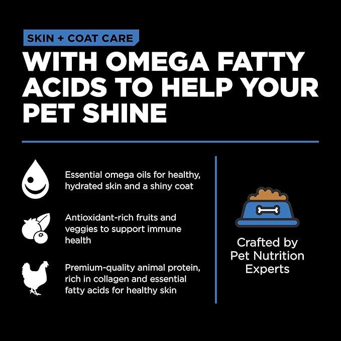 Go! Solutions Skin + Coat Care Chicken Dry Dog Food with Grains, Healthy Kibble with Omega-3s & 6s for Soft, Shiny Fur, for Puppies, Adults, & Seniors, 3.5 lb Bag