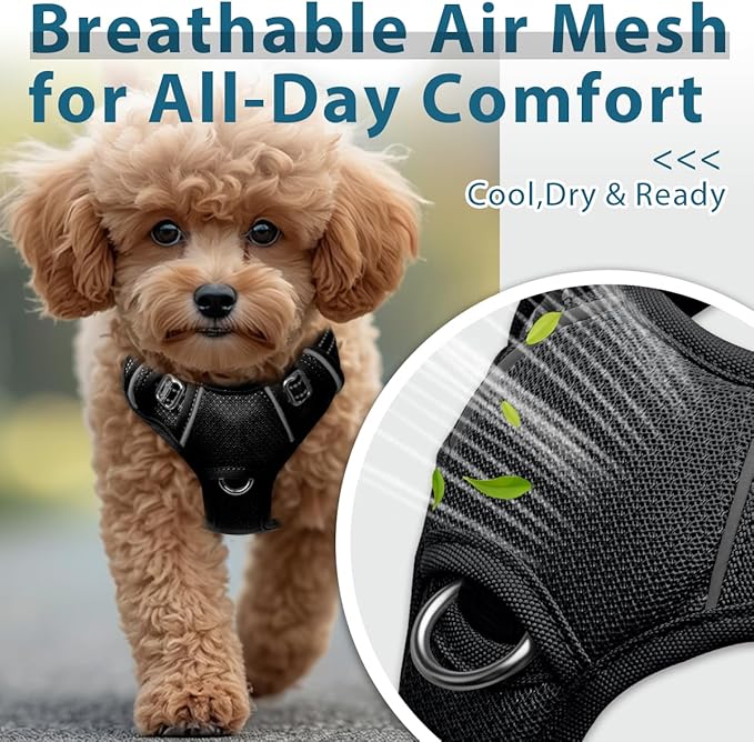 BARKBAY Dog Harness No Pull with ID Tag Pocket - Heavy Duty, Reflective, Easy Control for Small Dogs(Black,S)