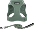Best Pet Supplies Voyager Step-in Air All Weather Mesh Harness and Reflective Dog 5ft Leash Combo with Neoprene Handle, for Small, Medium and Large Breed Puppies - Set (Moss Green), Medium