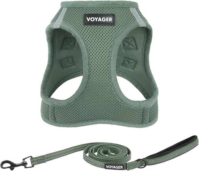 Best Pet Supplies Voyager Step-in Air All Weather Mesh Harness and Reflective Dog 5ft Leash Combo with Neoprene Handle, for Small, Medium and Large Breed Puppies - Set (Moss Green), X-Small