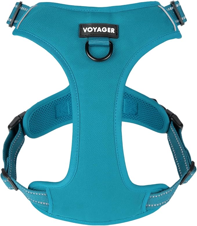 Voyager Dog Harness Dual Leash Attachment No-Pull Control Adjustable Soft but Strong Pet Harness for Medium and Large Dogs with 3M Reflective Technology, Turquoise Nylon, S (Chest: 16-20")