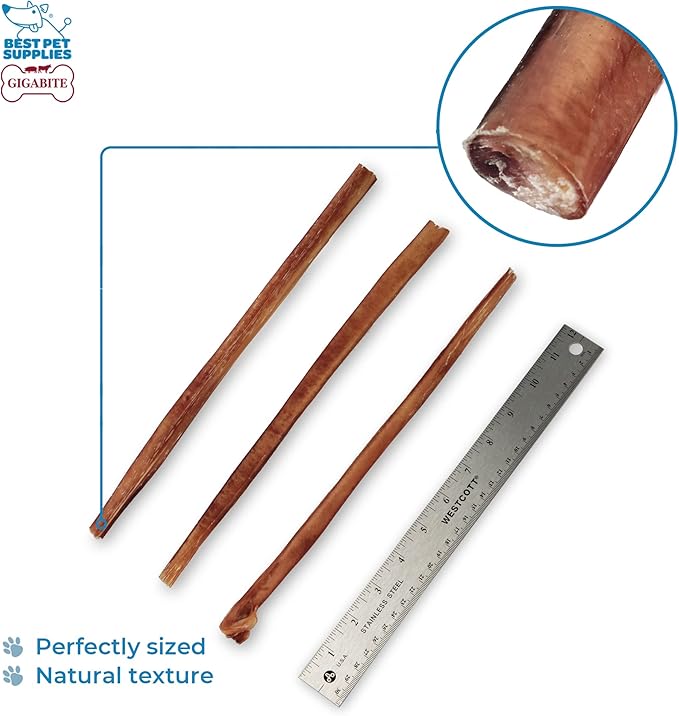 GigaBite Bully Sticks for Dogs All Natural Beef Pizzle Dog Chews, Odor & Rawhide Free Dog Treats, Long Lasting High Protein Chews Digestible Dental Dog Treat - Sticks (Half-cut 12"), Pack of 10