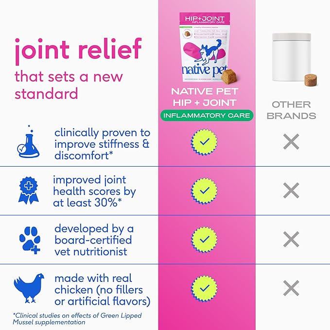 Native Pet Inflammatory Care - Pain Relief for Dogs - Green-Lipped Mussel, Turmeric & Collagen for Dogs - Hip and Joint Supplement Supports Healthy Inflammatory Response & Joint Comfort - 60 Chews