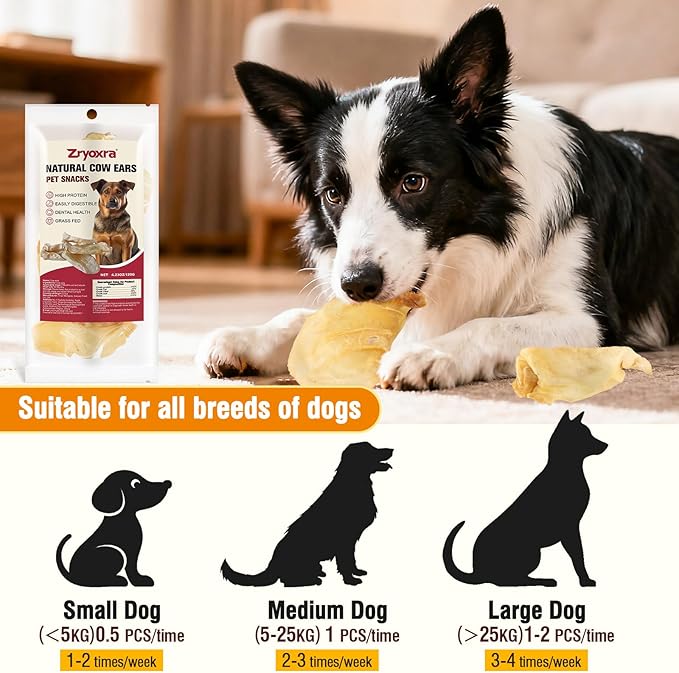 100% Natural Real Cow Ears for Dogs - Single Ingredient Dental Chew, Long-Lasting Treats for All Breeds (Small/Medium/Large) | High Protein, Easily Digestible(4.23 OZ)