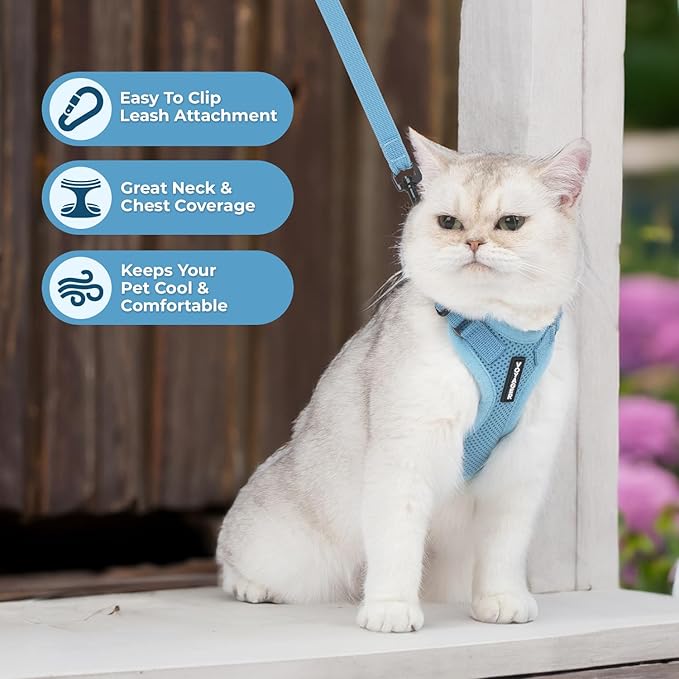 Voyager Step-in Lock Adjustable Cat Harness w. Cat Leash Combo Set with Neoprene Handle 5ft - Supports Small, Medium and Large Breed Cats by Best Pet Supplies - Baby Blue, XXXS
