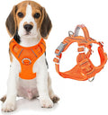 BARKBAY Dog Harness No Pull with ID Tag Pocket - Heavy Duty, Reflective, Easy Control for Large Dogs(Orange,M)
