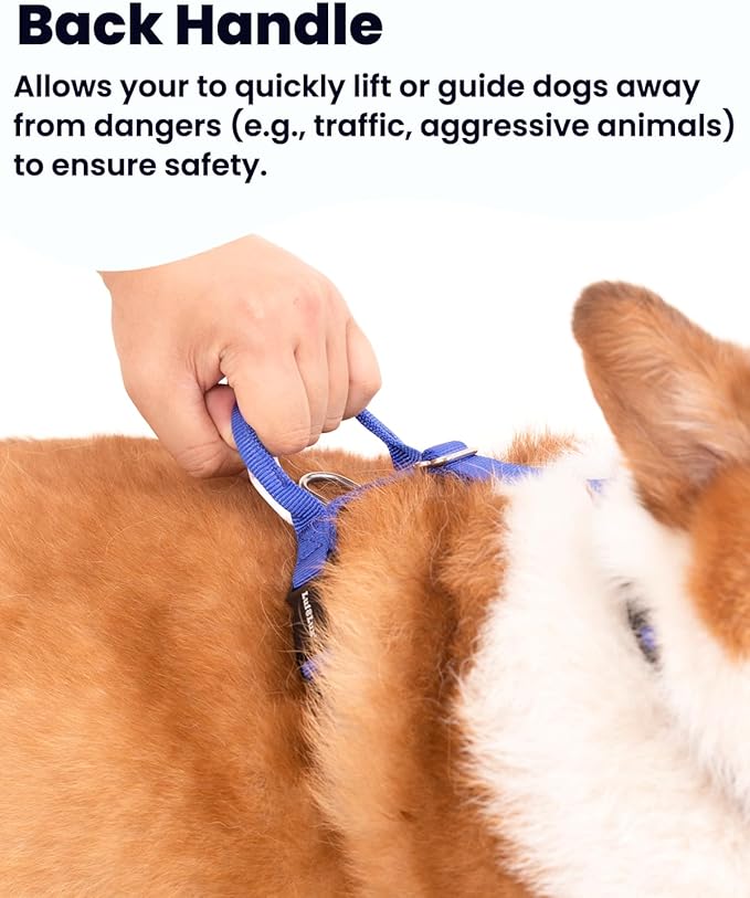 Non Restrictive No Pull Dog Harness, Neck Buckle Desgin, Easy Walk Freedom Harness Keep Balance, Six Points Adjustment, for Medium Dog Chest(21-30 inches), Blue